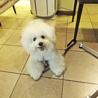 アンディカフェ_2