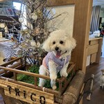 能勢のとりこ - 