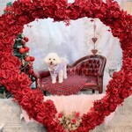 能勢のとりこ - 