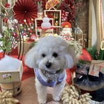 能勢のとりこ - 