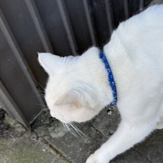 カフェ デ クラーク_1