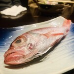 亜紗 - ⑤  2400円：五島：赤ムツ（ノドグロ）