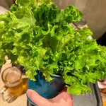 屋台酒場バッテン - 