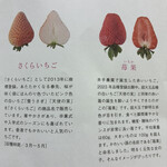 井手農園 - こんなに種類あったんだ②