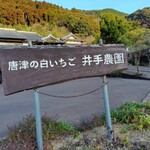 井手農園 - ふむふむ｡