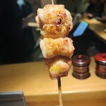 白金 酉玉 - ソリレース