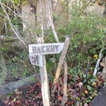 Bakery Cafe 151@ - 