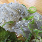 明神丸 - どろめ