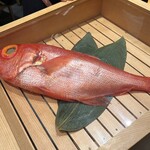 金目鯛の佐藤 - 