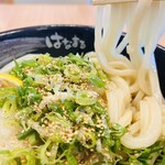 はなまるうどん 新千歳空港店 - 