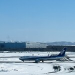 はなまるうどん - 