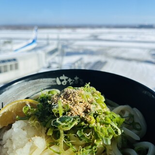 はなまるうどん_1