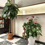 鎌倉かつ亭 あら珠 - 店舗入口