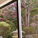 酒楽亭 空庵 - 椿を眺めながら台湾ラーメン