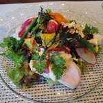 ビストロ ダイア - 2014冬　前菜　しっとり仕上げた三河地鶏胸肉のポッシェ　ソースレムナード　サラダ仕立て