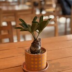 COME's Restaurant & Cafe - 