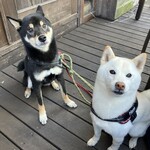 Azzurro520 海浜幕張店 - 