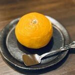 釀造科 oryzae - ミカンのゼリー