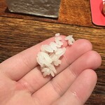 初音鮨 - シャリ