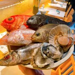 真打 かず家 国分寺店 - 