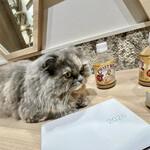 猫喫茶 空陸家 - 料理写真: