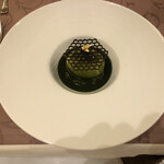 コートロティ - 