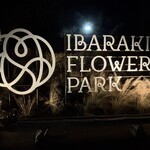 いわまの栗 - いばらきフラワーパークイルミ