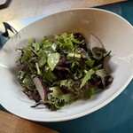 hectopascal - 自然栽培の旬の野菜を使ったサラダ