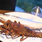 LAT.34°N by 蒼 - 立派な伊勢海老を一人に一尾使っちゃう贅沢さ♬