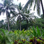 FOUR SEASONS RESORT BALI AT SAYAN - 