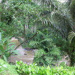 FOUR SEASONS RESORT BALI AT SAYAN - 