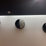 菜の花 ムーンカフェ - こんなインテリアの下で。スタッフはいまテキパキと女性ひとり。