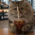 サンクゼール・久世福商店 - その他写真: