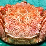 あお山 - 毛がに