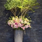 西麻布けんしろう - 