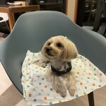 カフェレストランかど屋テラス - 室内でゆっくり頂きました♪