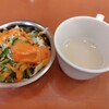 ナマステ ガネーシャ マハル - 料理写真:少なめのスープとサラダ