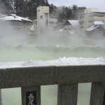 頼朝 - 2015元旦☆