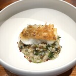 馳走西健一 - 白甘鯛のリゾット　