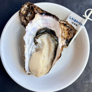 Oyster Bar ジャックポット_2