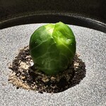 ホテルグランバッハ熱海クレッシェンド - 