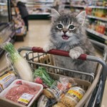 イオン - 料理写真: