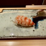 鮨 つぼみ - 車海老