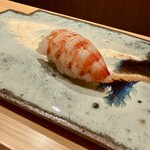 鮨 つぼみ - 車海老