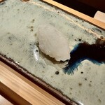 鮨 つぼみ - アオリイカ