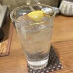 京都 柳馬場 ほん田亭 - 