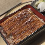 うなぎ 目白ぞろ芽 - 