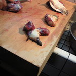 すっぽんの男性しかないアレ