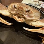 蟹・河豚專門 蟹吉WEST 難波道頓堀 - 