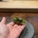 登喜和鮨 新潟店 - 